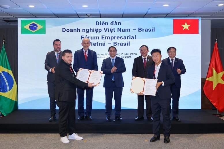Thủ tướng Chính cùng các đại biểu chứng kiến lễ ký kết hợp tác giữa CTCP Nam Việt và AV09 Comercio Exporter Ltda
