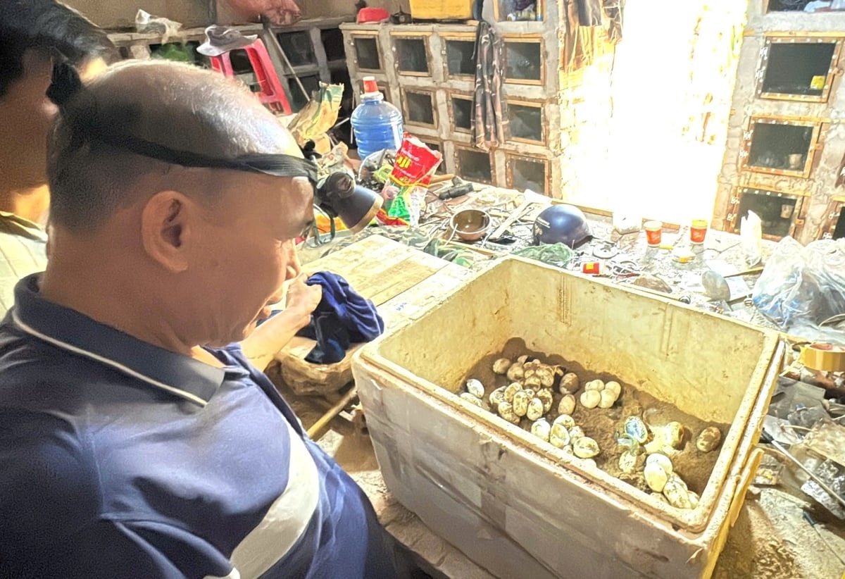 tiền bán trứng mỗi năm gia đình ông Vân thu về gần 100 triệu đồng