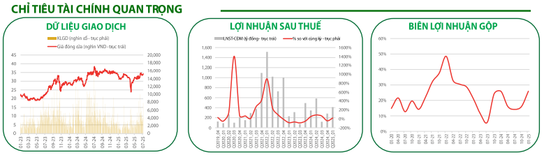 Các chỉ tiêu tài chính quan trọng