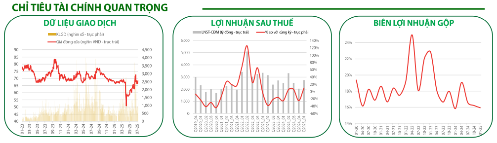 Các chỉ tiêu tài chính quan trọng của GAS
