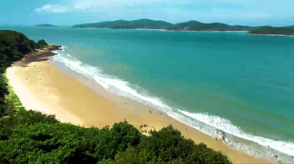 vung tien