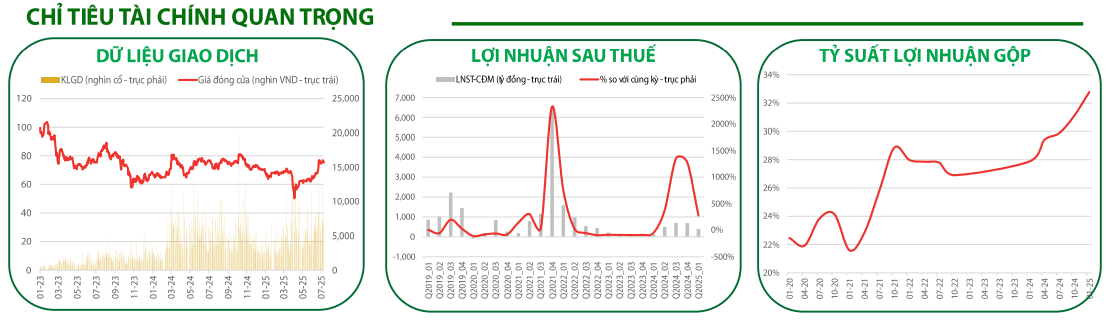 Chỉ tiêu tài chính quan trọng của MSN