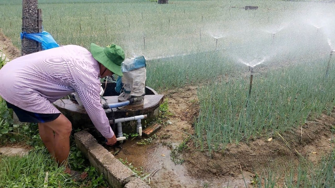 Người dân xóm 7, xã Quỳnh Anh vận hành hệ thống tưới béc phun mưa (1)