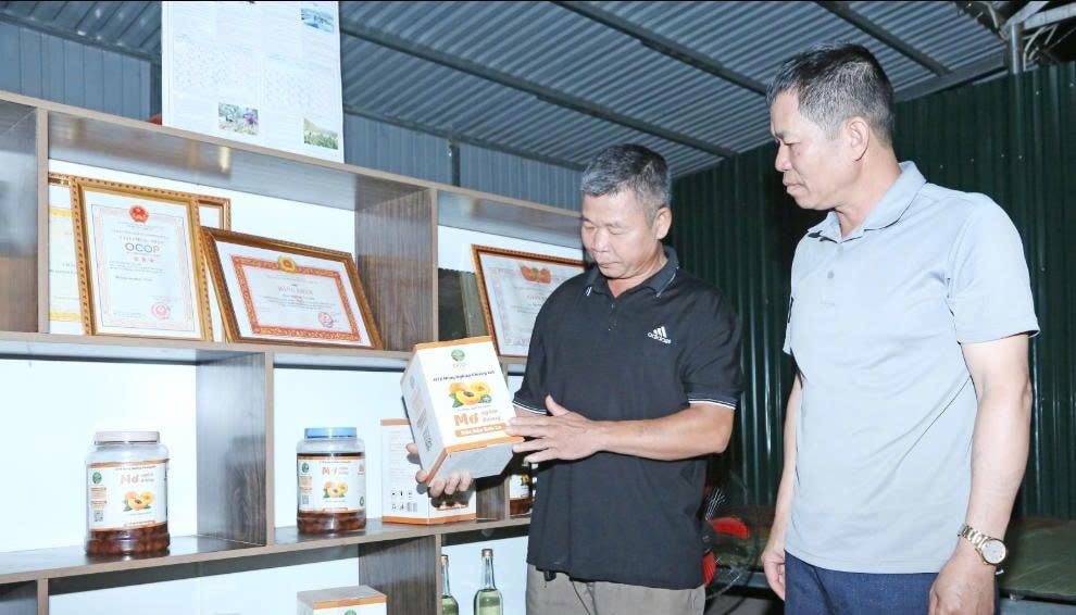 Nông dân phường Chiềng An xây dựng sản phẩm mơ ngâm đường đạt OCOP 3 sao