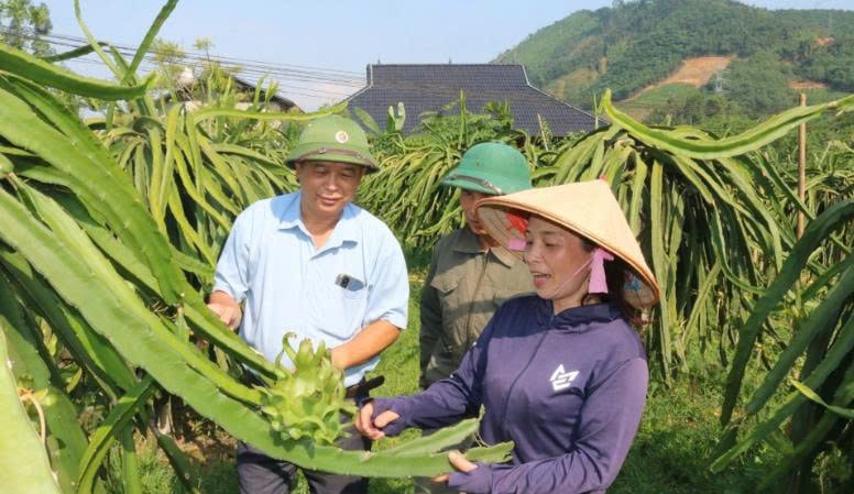 Ông Ấu Bằng Giang (đứng đầu tiên từ trái sang) hướng dẫn hội viên nông dân chăm sóc cây thanh long ruột đỏ