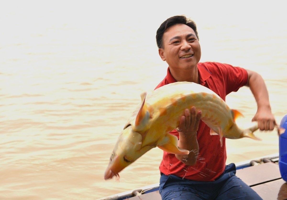 Anh Nguyễn Văn Tình bên con cá tầm nuôi trên sông Hồng, Hà Nội