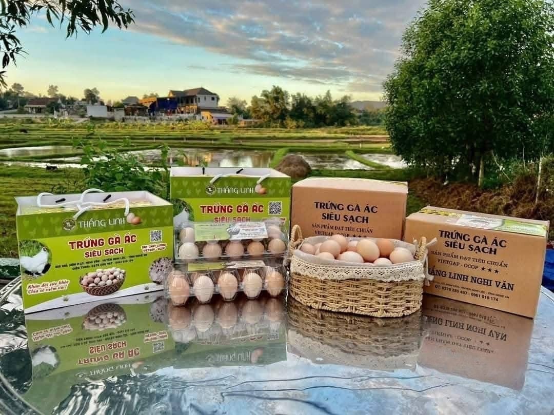 Bao bì sản phẩm trứng gà ác chuẩn VietGAP của gia trại Thắng Linh được Cục Sở hữu trí tuệ chứng nhận. Khách hàng cần liên hệ theo Hotline 0961010174 (1)