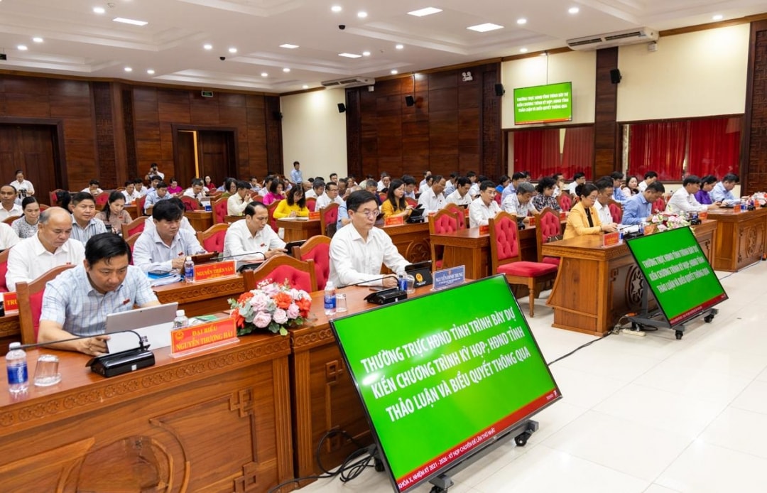 Đại biểu tham dự kỳ họp (1)