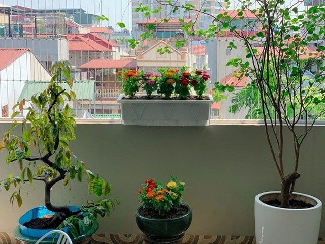 hoanglinh4.jpg
