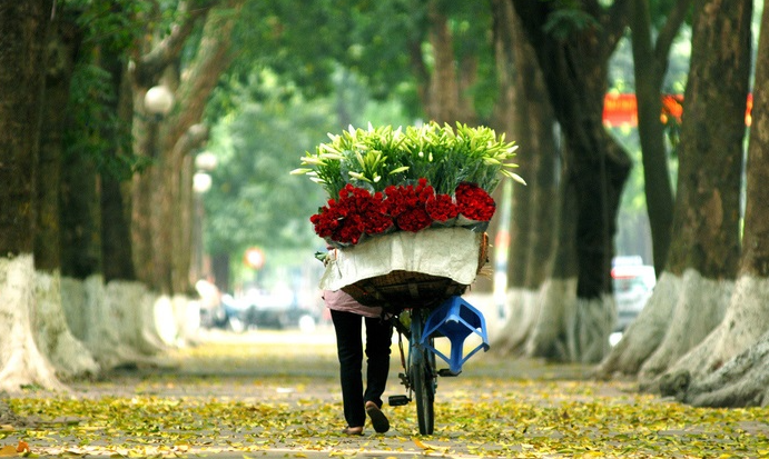 nguoihanoi1.png