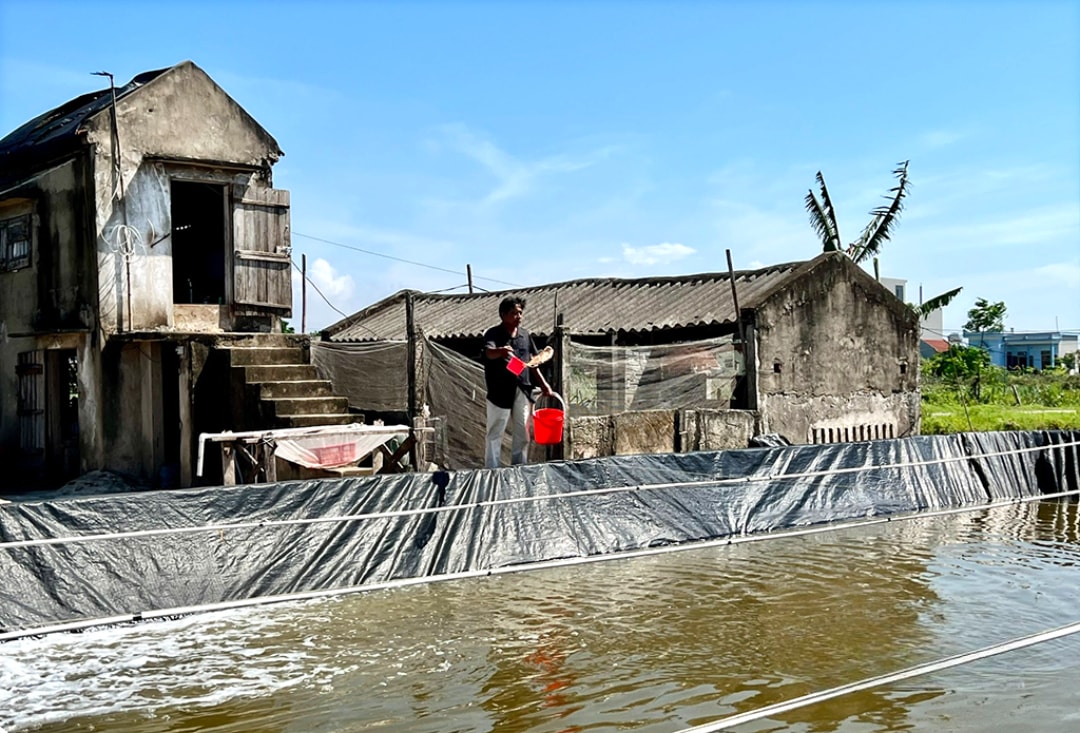 Phát huy lợi thế thổ nhưỡng địa phương, người dân xã Định Hoá đẩy mạnh phát triển nuôi trồng và khai thác thủy sản (1)
