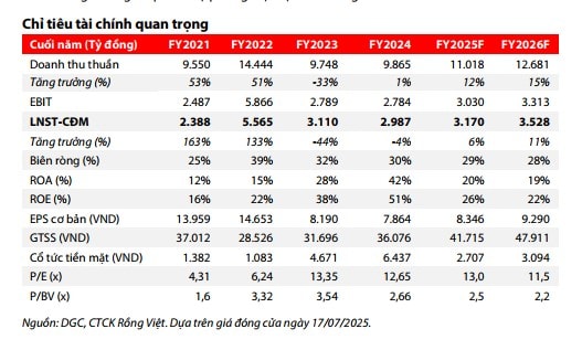 Các chỉ tiêu tài chính quan trọng của DGC
