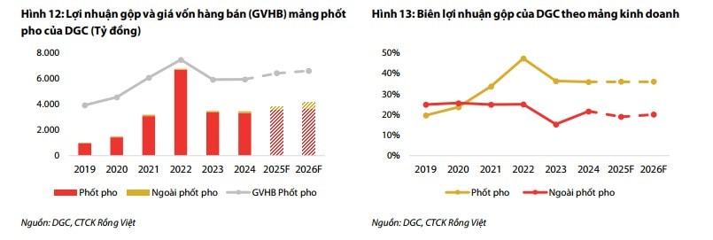 Lợi nhuận gộp và đóng góp lợi nhuận của DGC