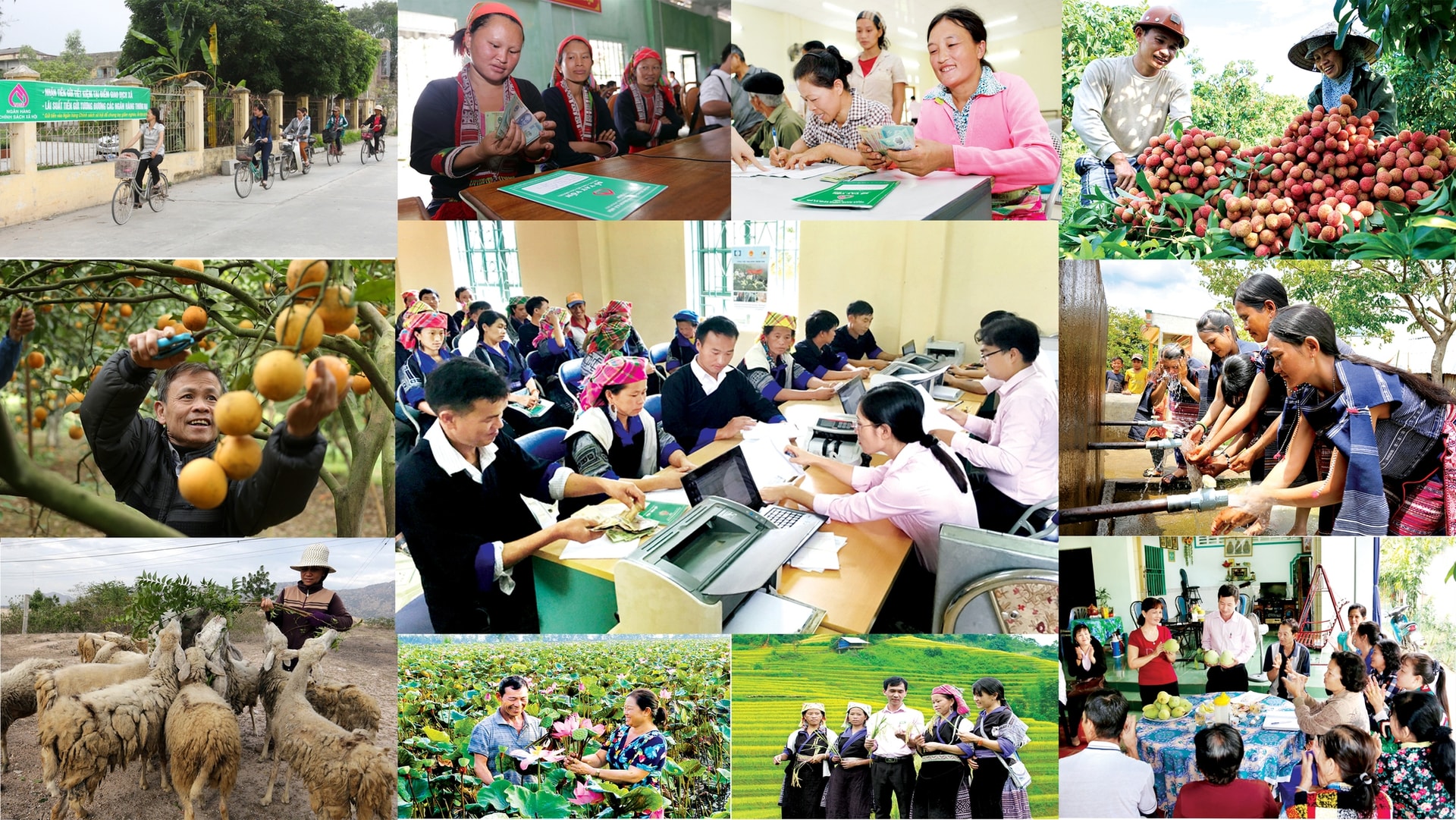 chính sách xã hội