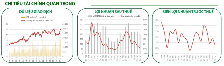 Các chỉ tiêu tài chính quan trọng của HCM
