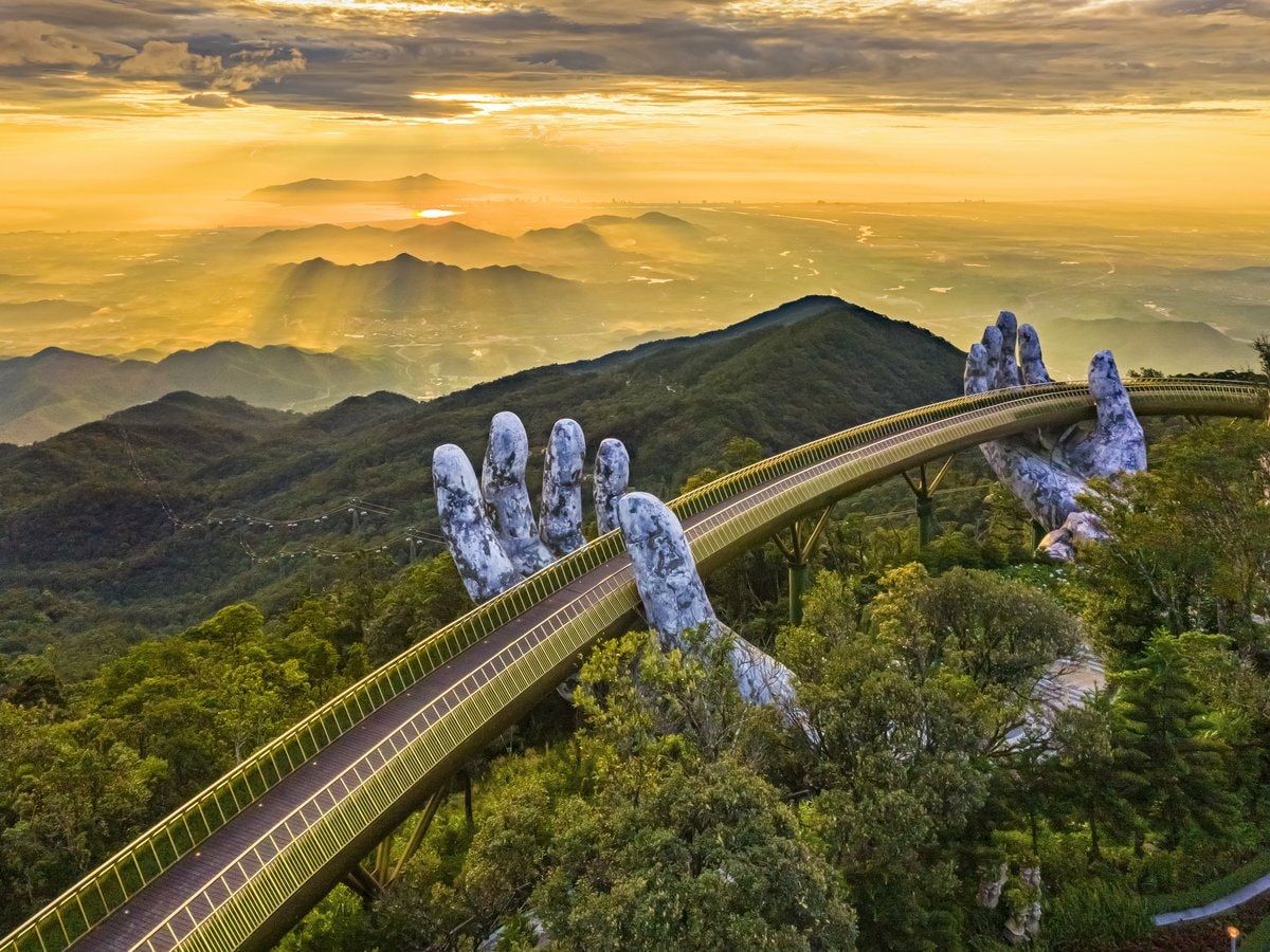 sau vàng