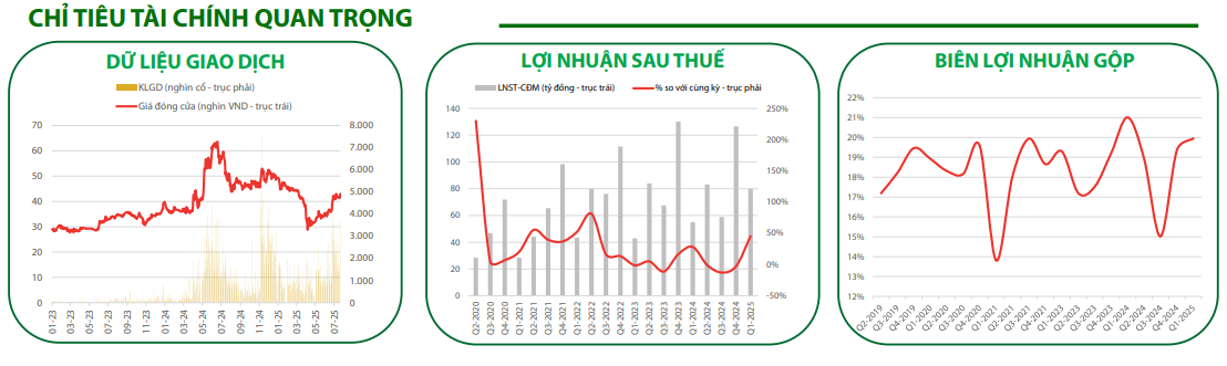 Chỉ tiêu tài chính quan trọng của CMG