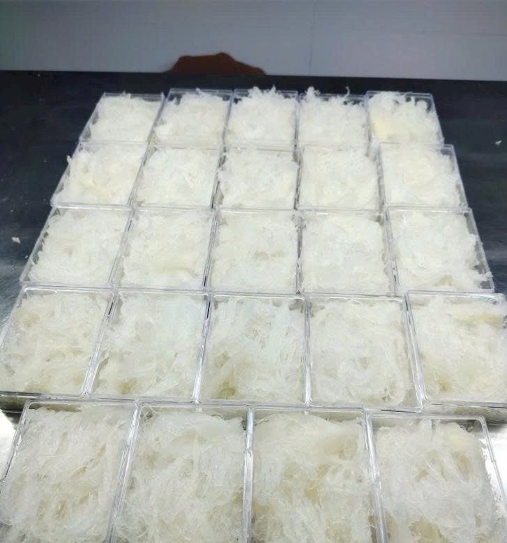 Theo chị Trần Thị Vân Anh, chủ một đại lý chuyên phân phối yến sào tại phường Pleiku, nguồn cung ổn định từ các nhà yến trong tỉnh, đặc biệt là từ Đức Cơ và Phú Thiện, giúp chúng tôi yên tâm mở rộng thị trường