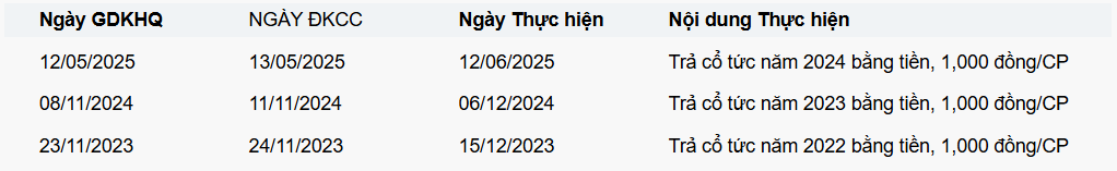 Hình thức trả cổ tức của Tôn Đông Á trong các năm gần đây