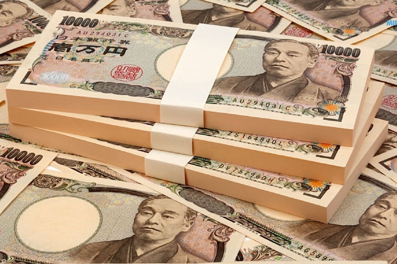 usd.jpg