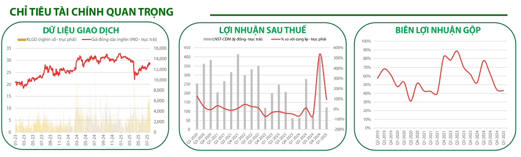 Các chỉ tiêu tài chính quan trọng của Khang Điền