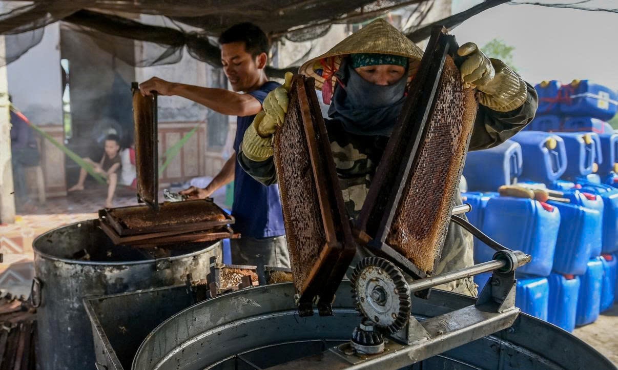 Chế biến mật ong thành phẩm
