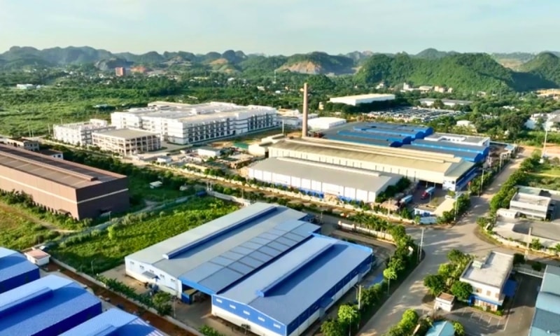 Lam Sơn Sao Vàng