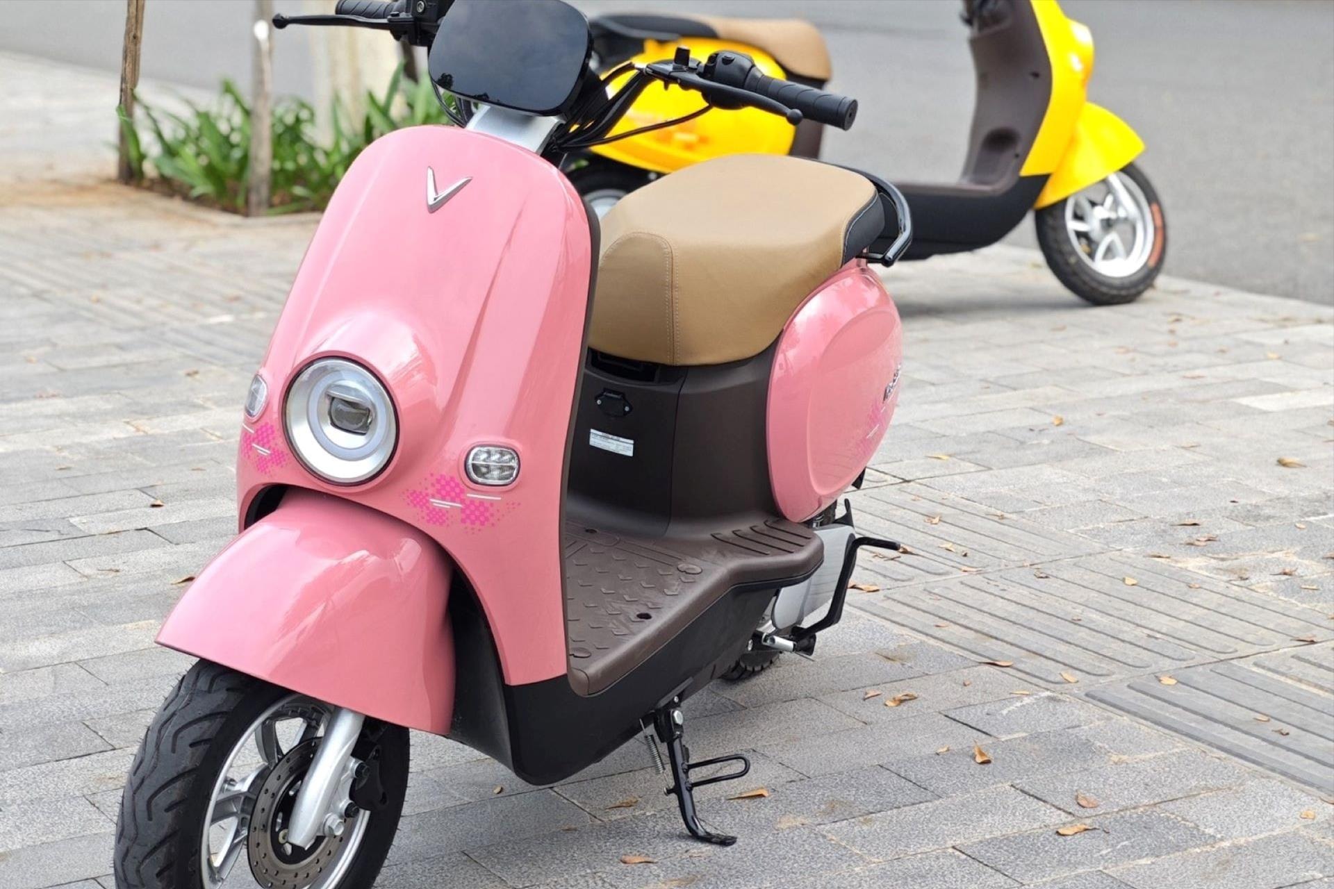 vf-motio(1).jpg