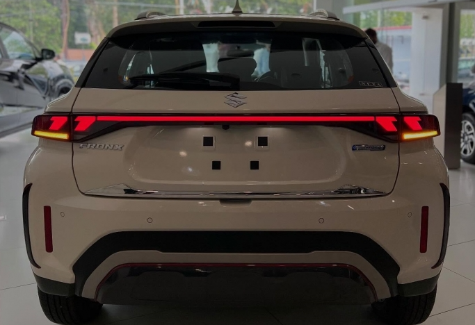 suzuki1.png