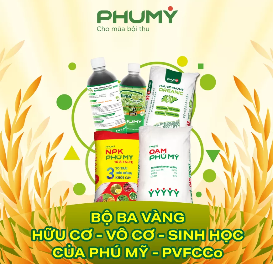 phumy7.png
