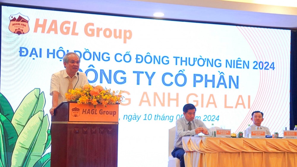 hoanganhgialai7.jpg