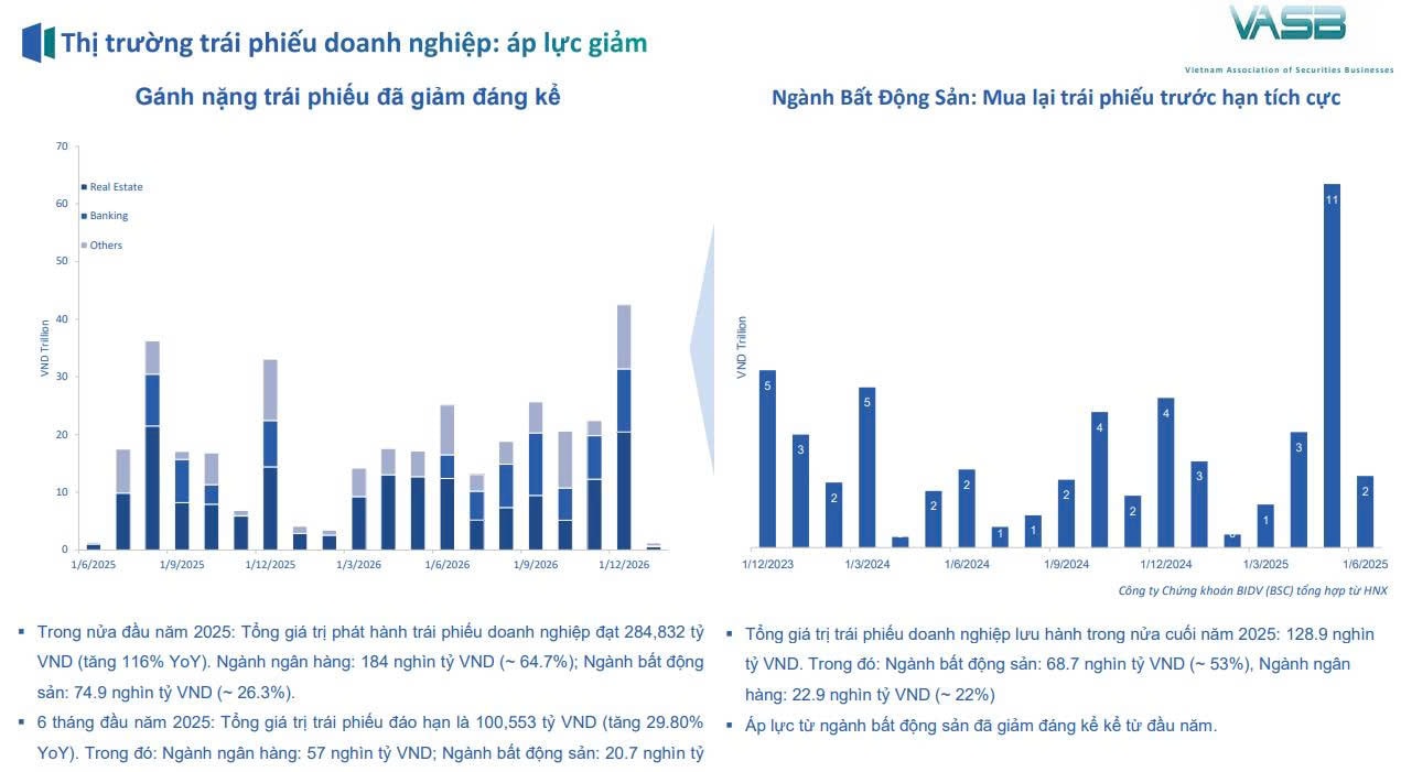 Nguồn: Báo cáo phân tích của BSC tại Hội nghị sơ kết hoạt động 6 tháng đầu năm 2025 của VASB