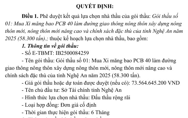 vicem-hoang-mai1.jpg
