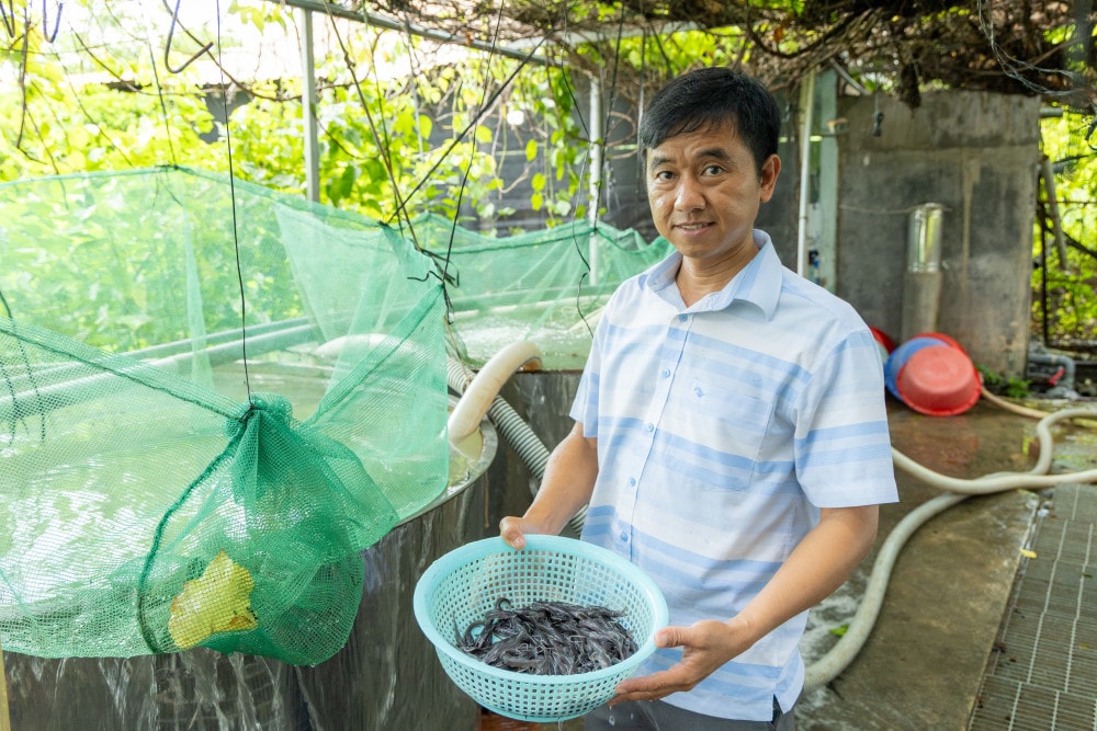 Anh Liên cùng với cá giống