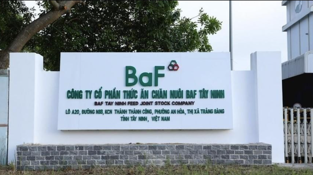 baf.png