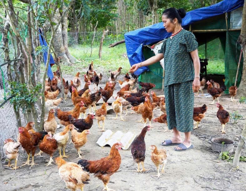 Chị Hồ Thị Pan đã vươn lên thoát nghèo từ mô hình trang trại tổng hợp