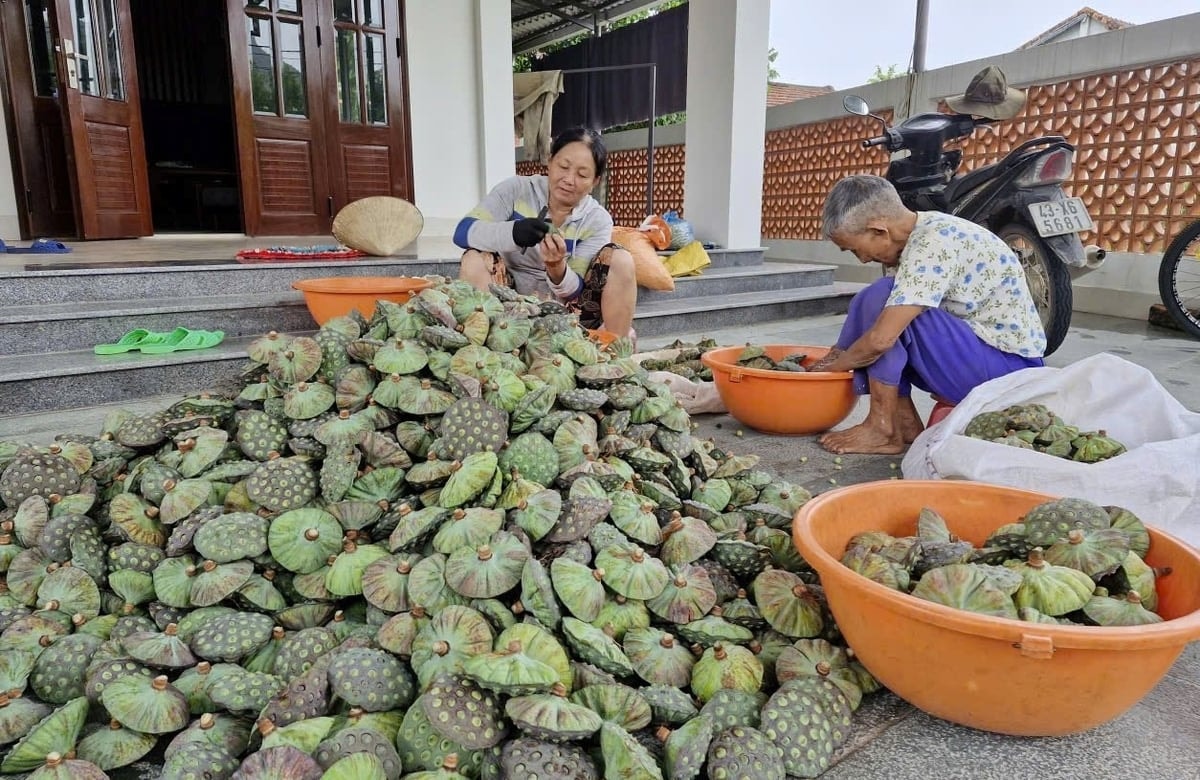 Mô hình này giúp nhiều gia đình có thu nhập tốt, cuộc sống tốt hơn