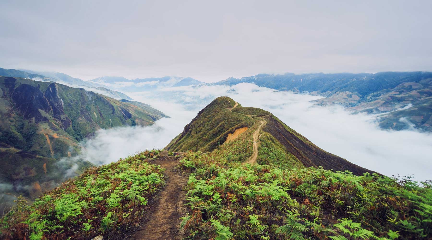 đỉnh Tà Xùa