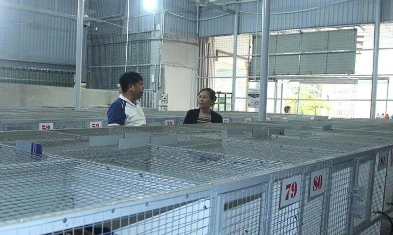 Hệ thống chuồng nuôi chồn hương của anh Lê Văn Hùng ở xã Hoằng Lộc