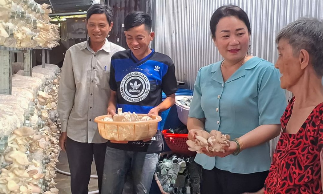 Tham quan mô hình trồng nấm bào ngư xám của hộ anh Phát (1)