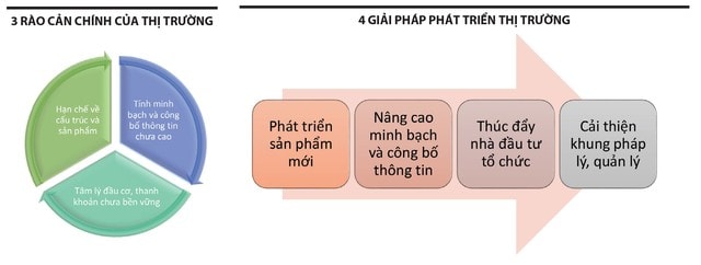 3 rao can