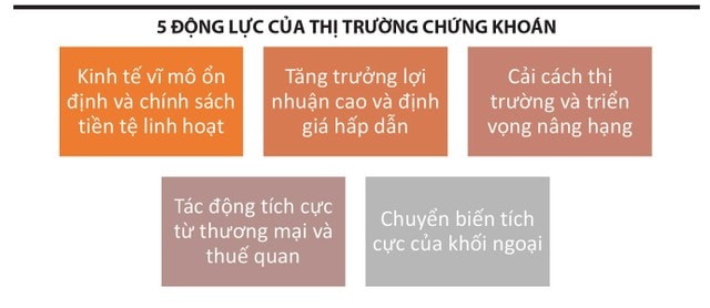 5 dong luc