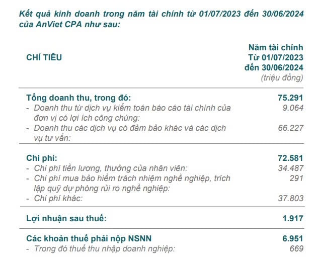 Kết quả kinh doanh của Chuẩn Việt trong năm tài chính 2024
