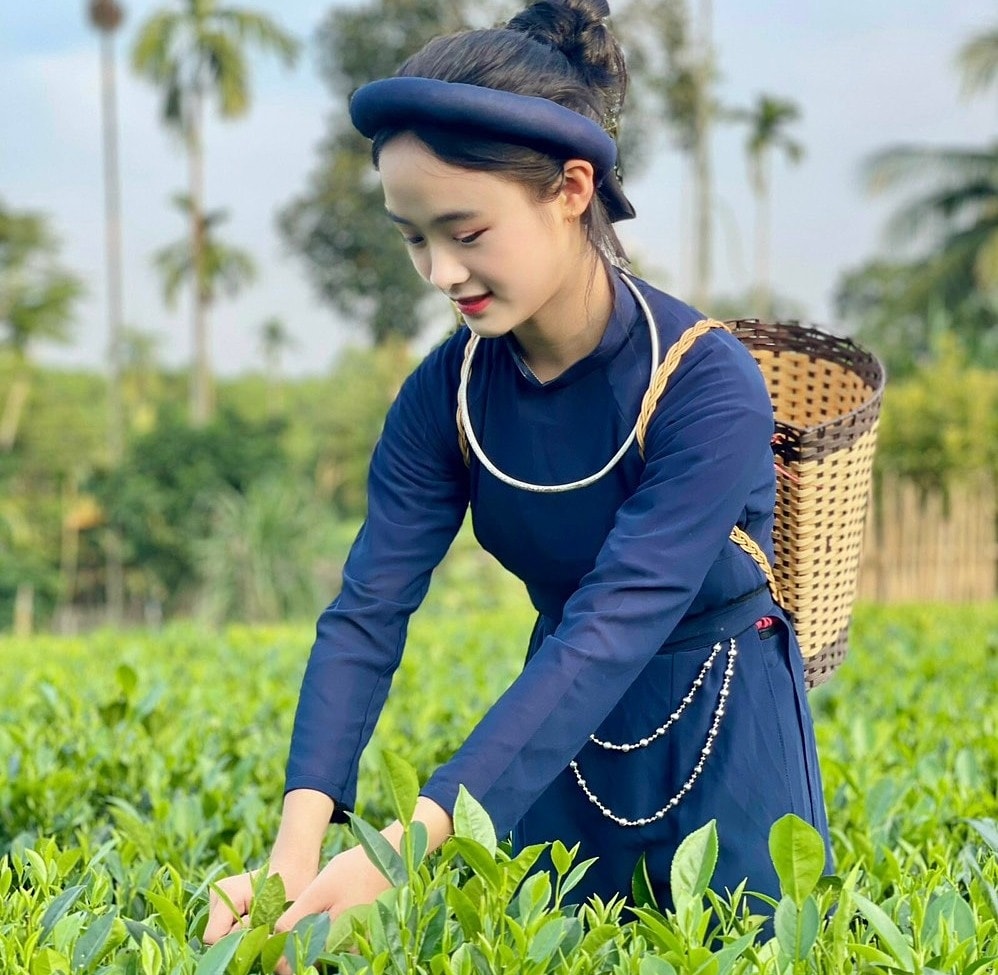 Người trẻ tuổi có tri thức ở Thái Nguyên tích cực tham gia phát triển HTX