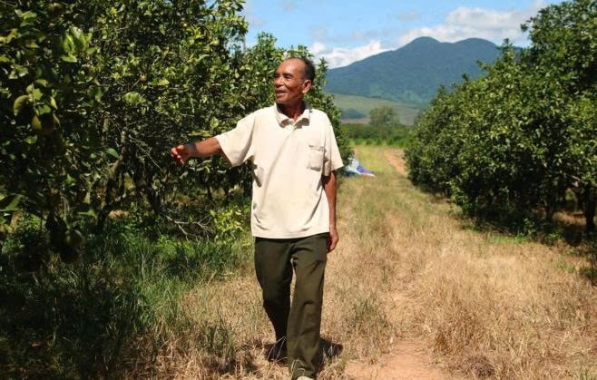 Ông Mai đang đi dạo trong khu vườn nhà mình