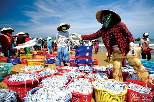 chợ biển hải hòa