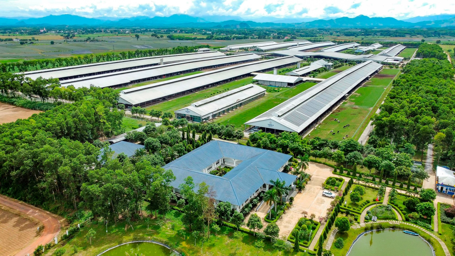 Vinamilk - thuonghieu (3)