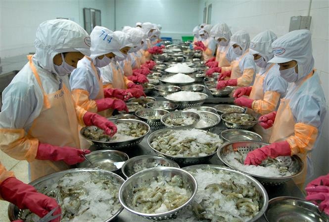 doanh nghiệp xuất khẩu tôm