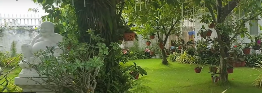 nghesi2.png