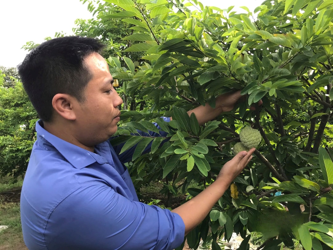 Thầy Ngọc tại vườn na